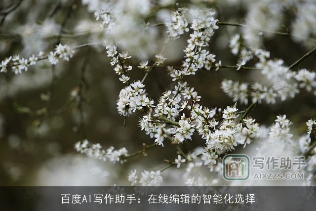 百度AI写作助手：在线编辑的智能化选择