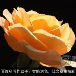 百度AI写作助手：智能润色，让文章更精彩