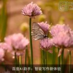 百度AI助手：智能写作新体验
