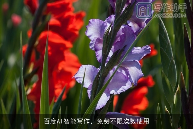 百度AI智能写作，免费不限次数使用