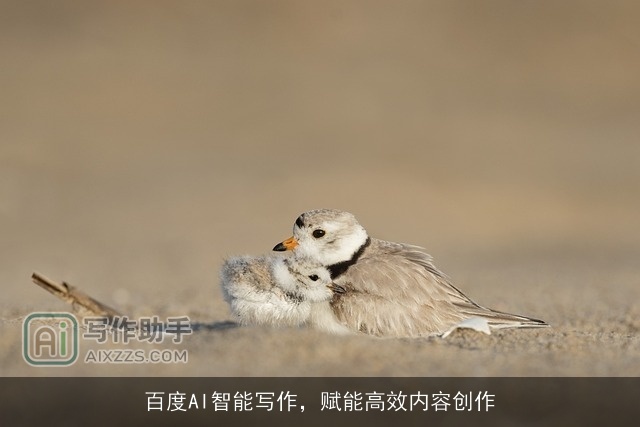 百度AI智能写作，赋能高效内容创作