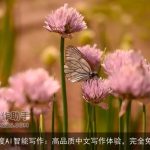 百度AI智能写作：高品质中文写作体验，完全免费