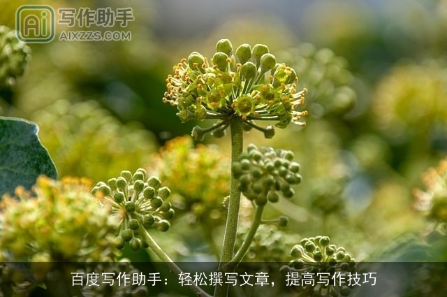 百度写作助手：轻松撰写文章，提高写作技巧