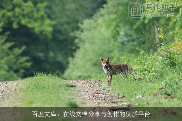 百度文库：在线文档分享与创作的优质平台