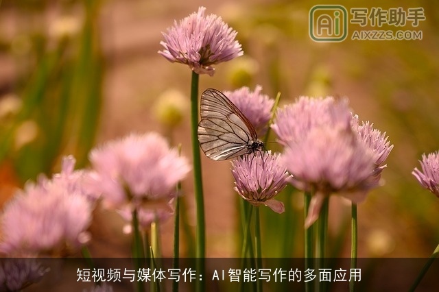 短视频与媒体写作：AI智能写作的多面应用
