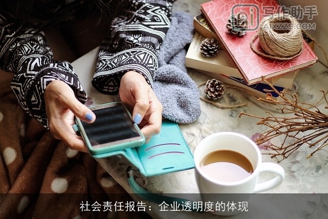 社会责任报告：企业透明度的体现