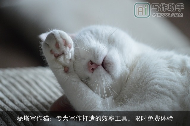 秘塔写作猫：专为写作打造的效率工具，限时免费体验