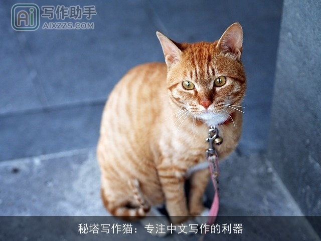 秘塔写作猫：专注中文写作的利器
