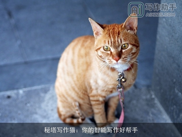 秘塔写作猫：你的智能写作好帮手