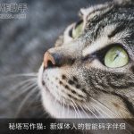 秘塔写作猫：新媒体人的智能码字伴侣