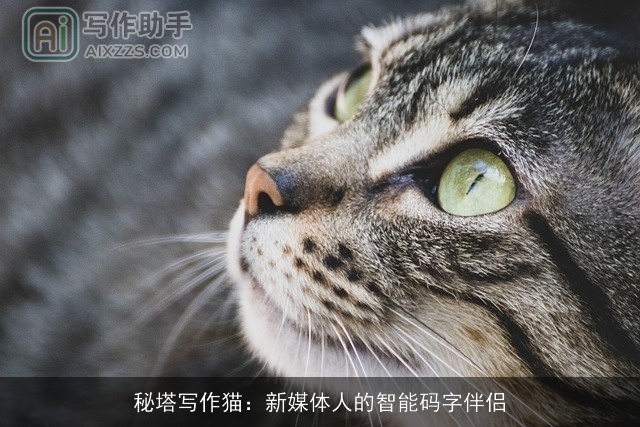 秘塔写作猫：新媒体人的智能码字伴侣
