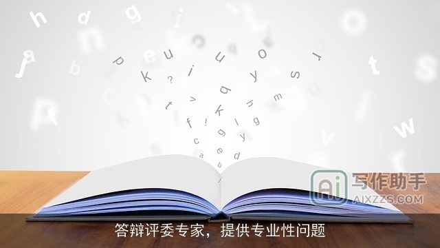 答辩评委专家，提供专业性问题