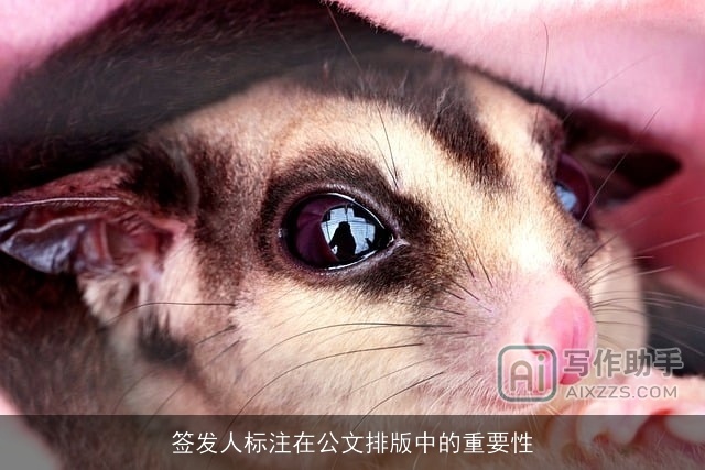 签发人标注在公文排版中的重要性