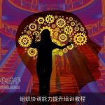 组织协调能力提升培训教程