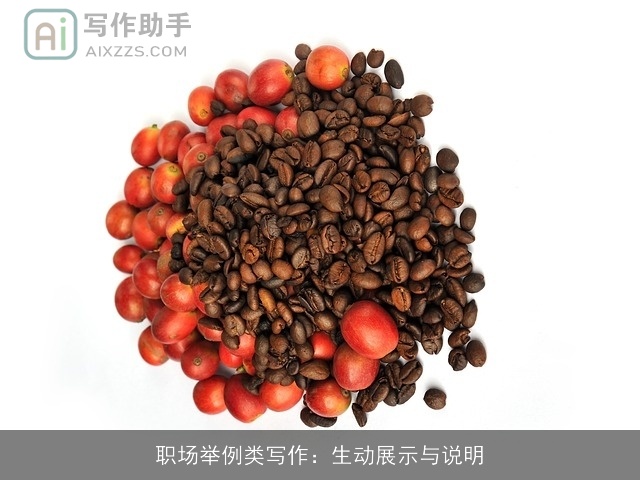 职场举例类写作：生动展示与说明