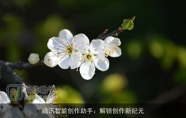 腾讯智能创作助手：解锁创作新纪元