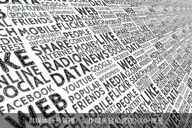 自媒体账号管理：创作罐头轻松管理1000+账号