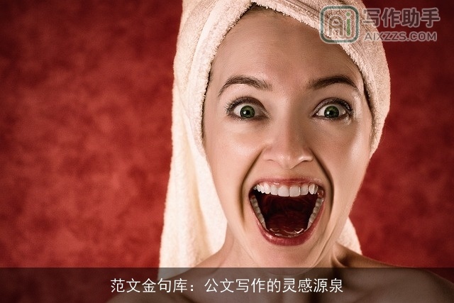 范文金句库：公文写作的灵感源泉