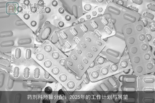 药剂科预算分配：2025年的工作计划与展望