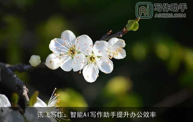 讯飞写作：智能AI写作助手提升办公效率