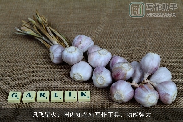 讯飞星火：国内知名AI写作工具，功能强大