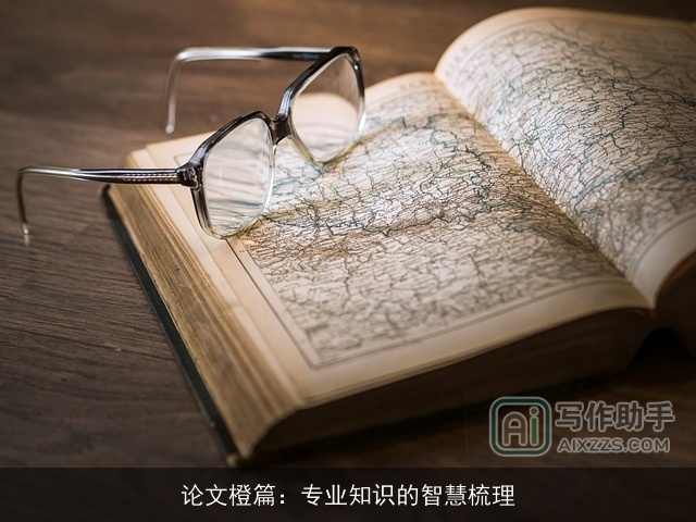 论文橙篇：专业知识的智慧梳理