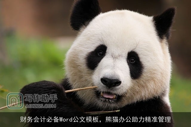 财务会计必备Word公文模板，熊猫办公助力精准管理