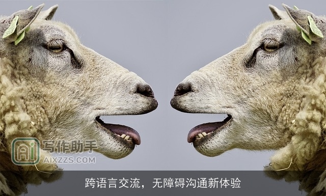 跨语言交流，无障碍沟通新体验