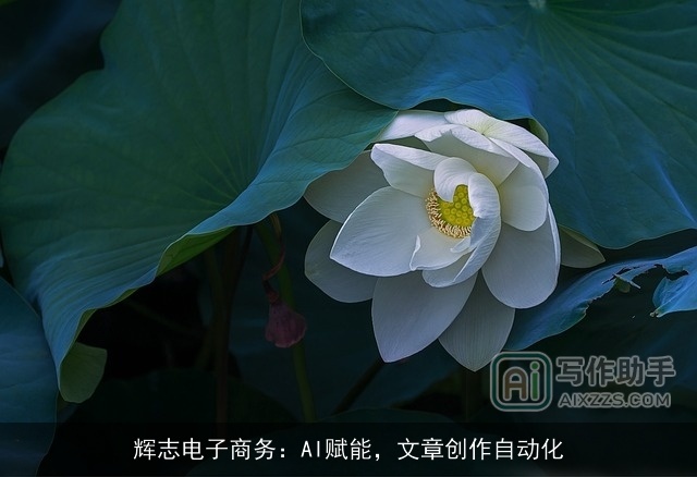 辉志电子商务：AI赋能，文章创作自动化