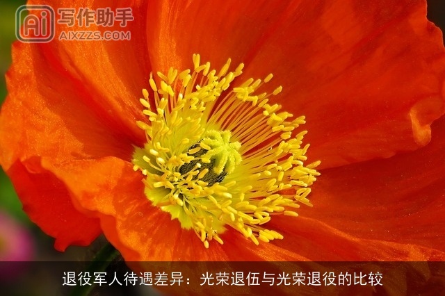 ××××待遇差异：光荣退伍与光荣××的比较