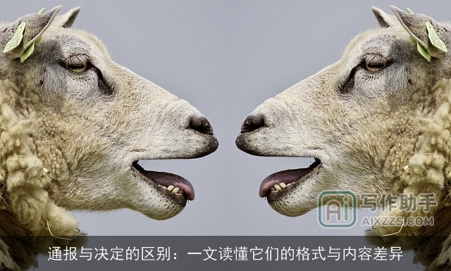 通报与决定的区别：一文读懂它们的格式与内容差异