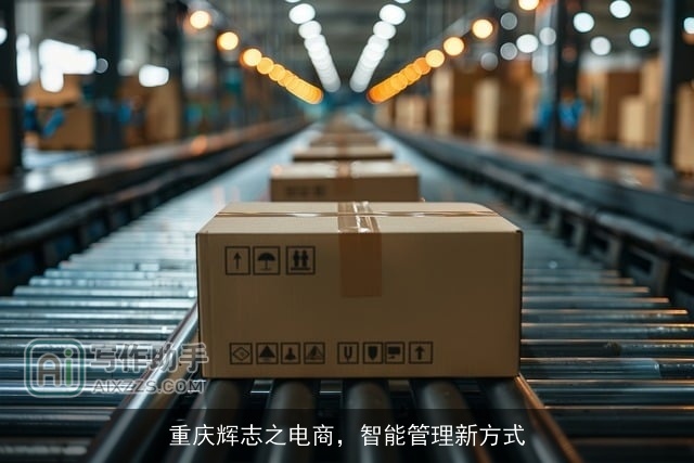 重庆辉志之电商，智能管理新方式