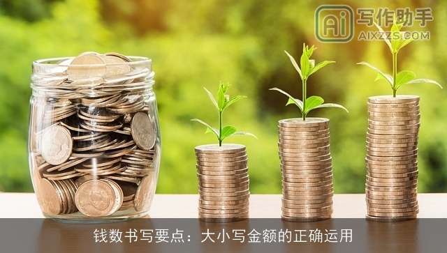 钱数书写要点：大小写金额的正确运用