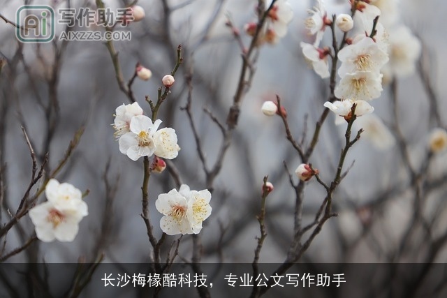 长沙梅椽酷科技，专业公文写作助手