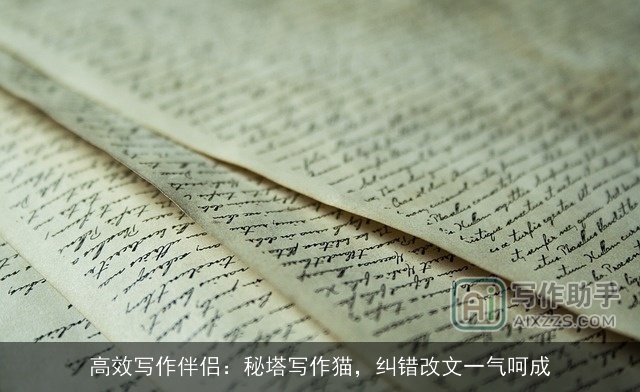 高效写作伴侣：秘塔写作猫，纠错改文一气呵成