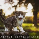 高效写作助手：秘塔写作猫AI软件试用体验