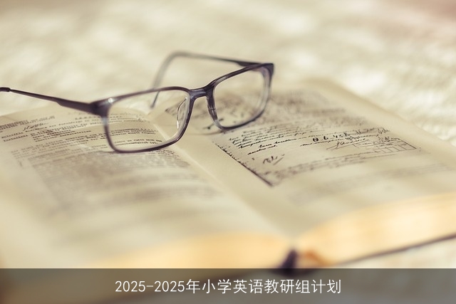 2025-2025年小学英语教研组计划