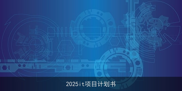 2025it项目计划书