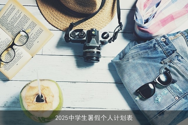 2025中学生暑假个人计划表