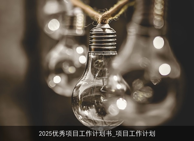 2025优秀项目工作计划书_项目工作计划