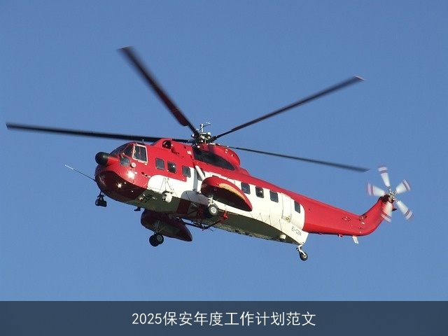 2025保安年度工作计划范文