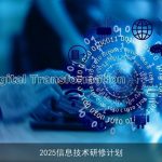 2025信息技术研修计划
