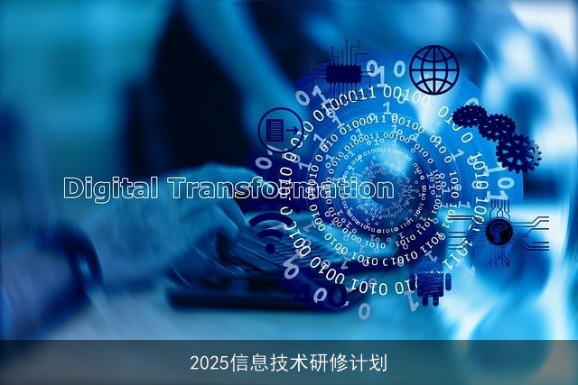 2025信息技术研修计划