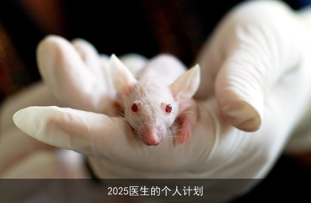 2025医生的个人计划