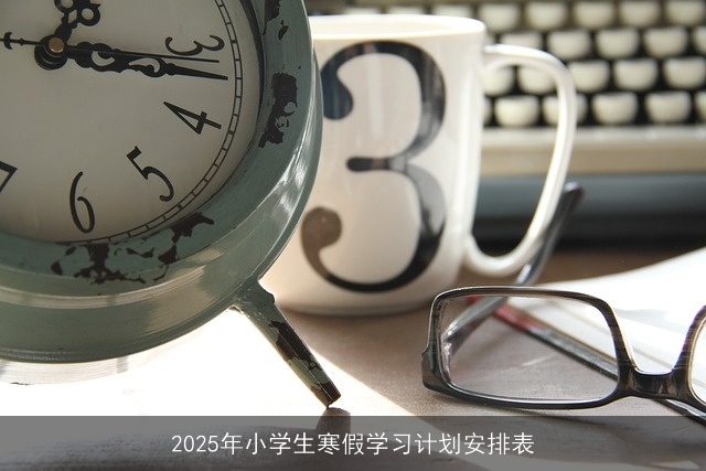 2025年小学生寒假学习计划安排表