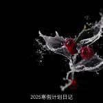 2025寒假：成长与探索的旅程日记
