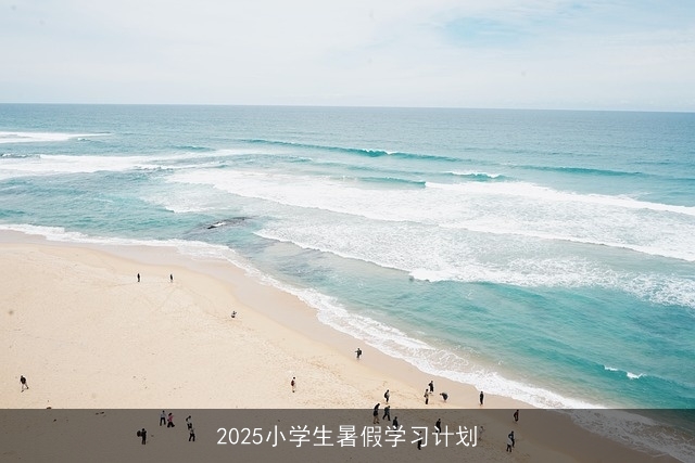 2025小学生暑假学习计划