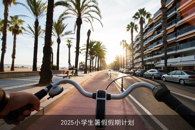 2025小学生暑假假期计划