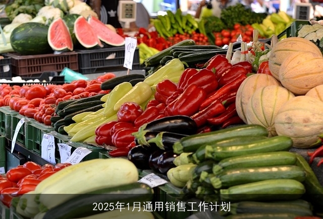 2025年1月通用销售工作计划