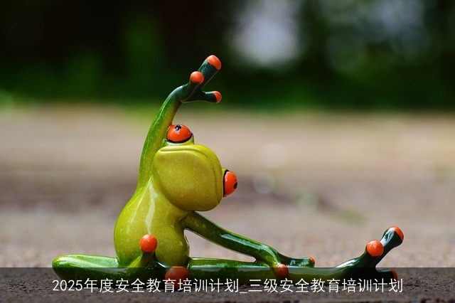 2025年度安全教育培训计划_三级安全教育培训计划